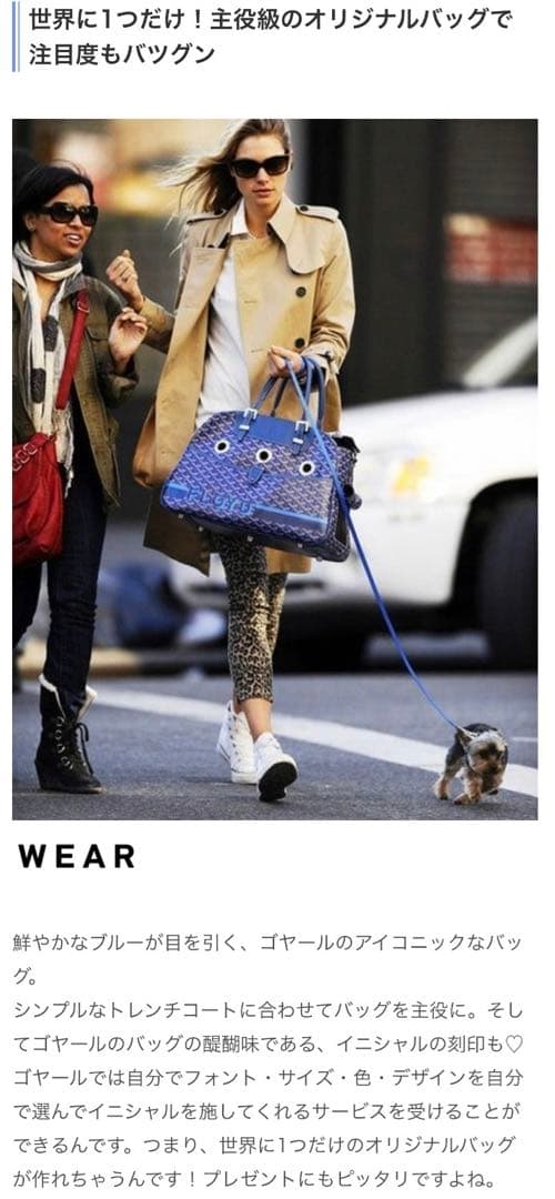 大人気GOYARDレア　廃番　マーカージュ最大入り　大変お得❣️ ペットキャリー