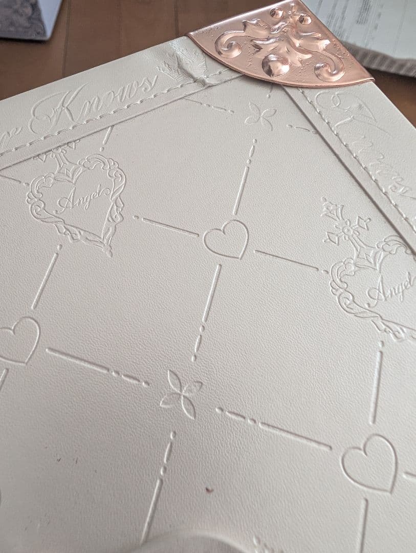 フラワーノーズ　フルボックス　リトルエンジェル　ボックスのみ