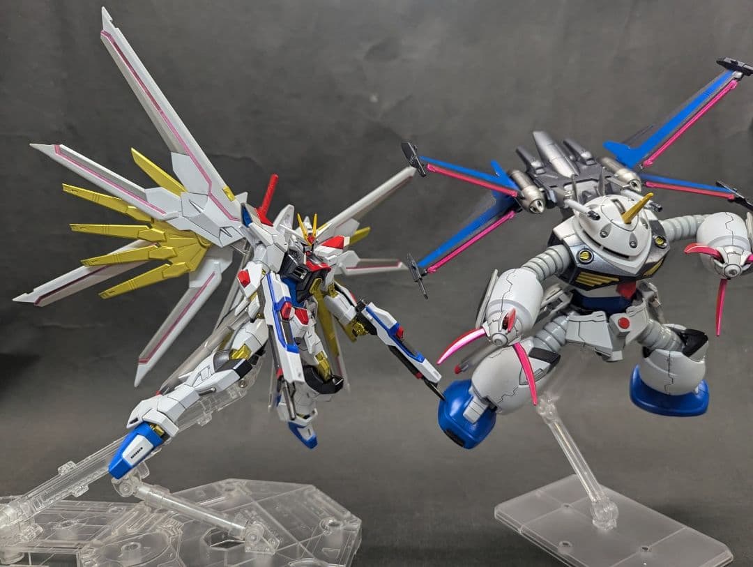 HGズゴック キャリアバーアイフリット、マイティーストライクフリーダム付き