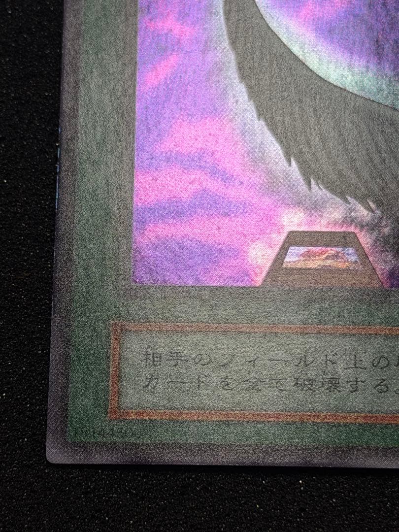 【極美品】ハーピィの羽根帚 初期　ウルトラ