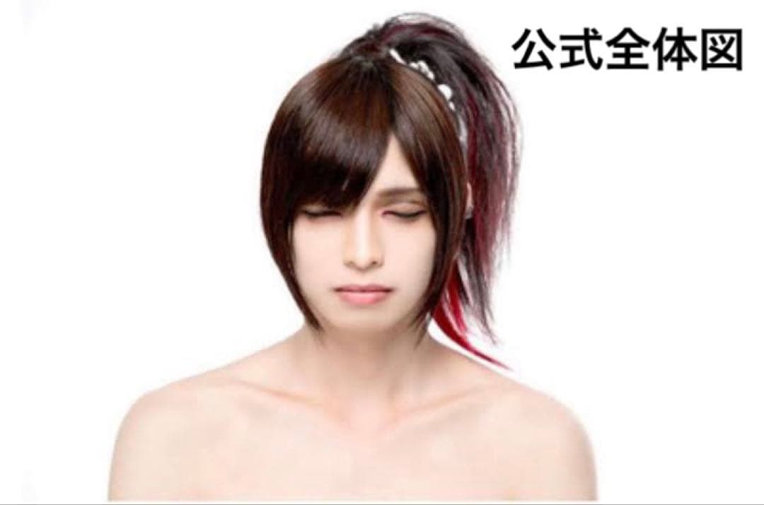 -真天地開闢集団-ジグザグ 龍矢　枕カバー　サインカード付　チェキ　ブロマイド