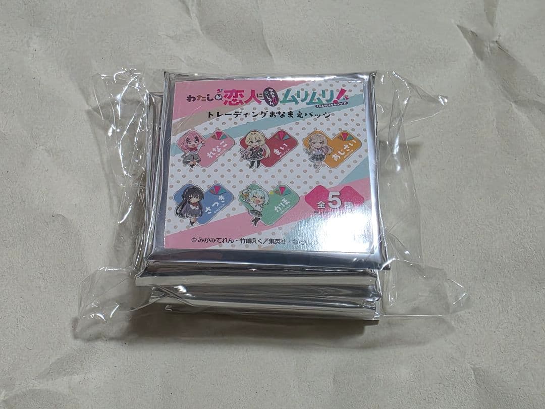 わたしが恋人になれるわけないじゃん、ムリムリ！ アクリルスタンドグッズセット