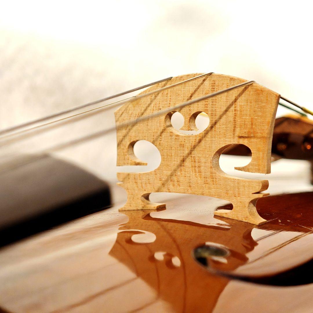 【1914年フランス製】オールドバイオリン ガルネリウスラベル 4/4 即演奏可