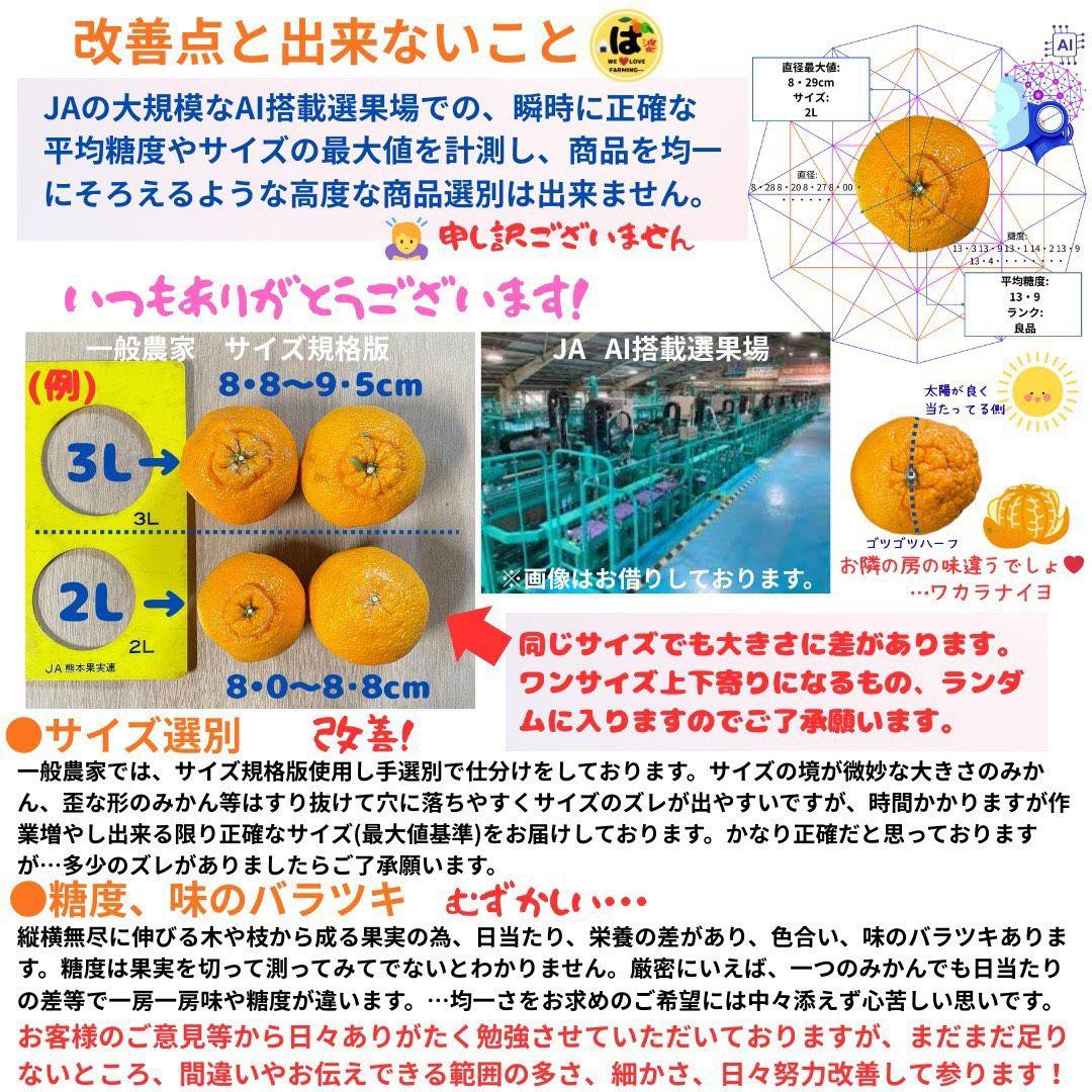 ※確認用　家庭用　大玉MIX箱込み9.5kg以上【露地栽培　不知火　デコポン】