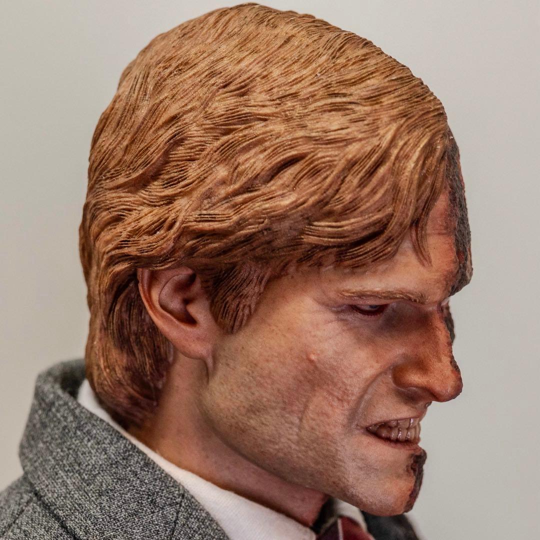 トゥーフェイス 1/6 カスタムフィギュア ホットトイズ系 ダークナイト