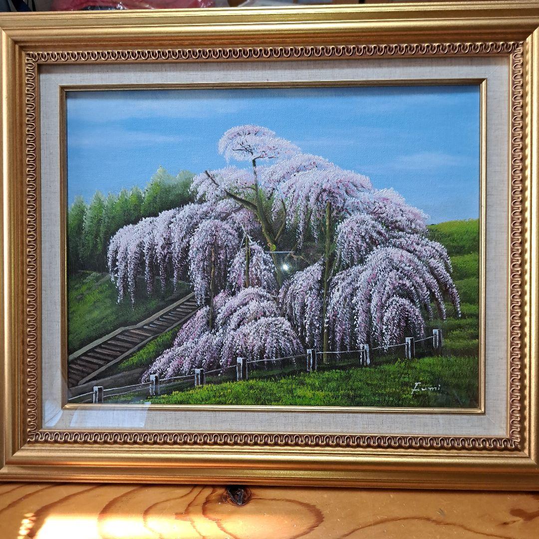 なんと‼️今だけ特別価格【期間限定商品　貴重品】日本三代桜 三春滝桜 福島県