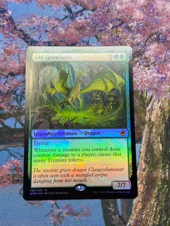 MTG アンパサンド プロモ 年老いた骨齧り　Old Gnawbone 美品