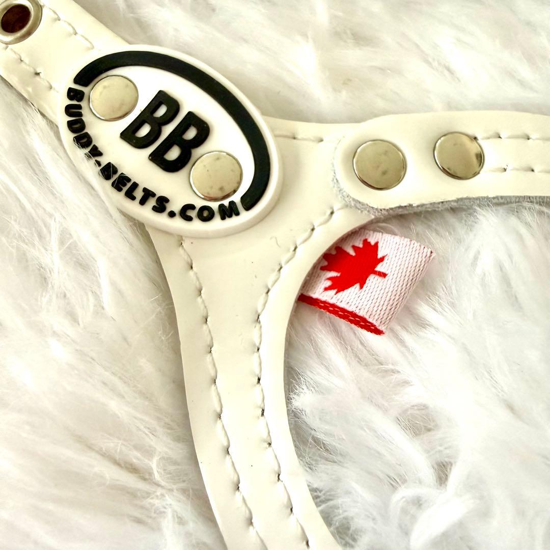 [新品] BBベルト 2.5号 スワロフスキー付き+リード セット*ホワイト