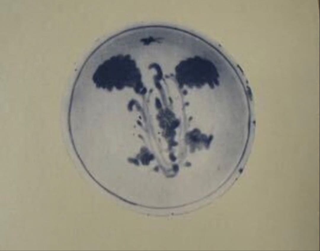 中国 明朝 古染付 ナズナ文様 魯山人 愛玩 向付 懐石 茶道 骨董 古美術