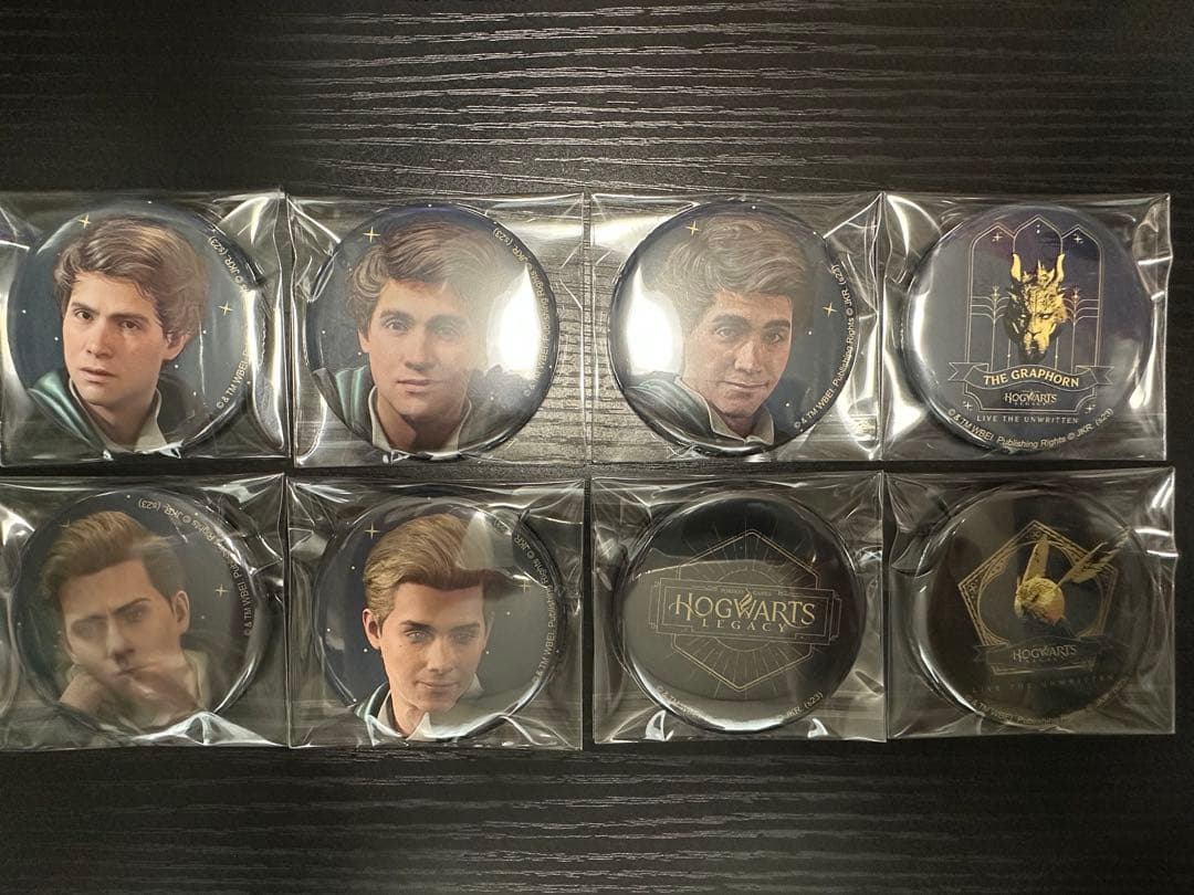 Hogwarts Legacy 缶バッジ 8個セット
