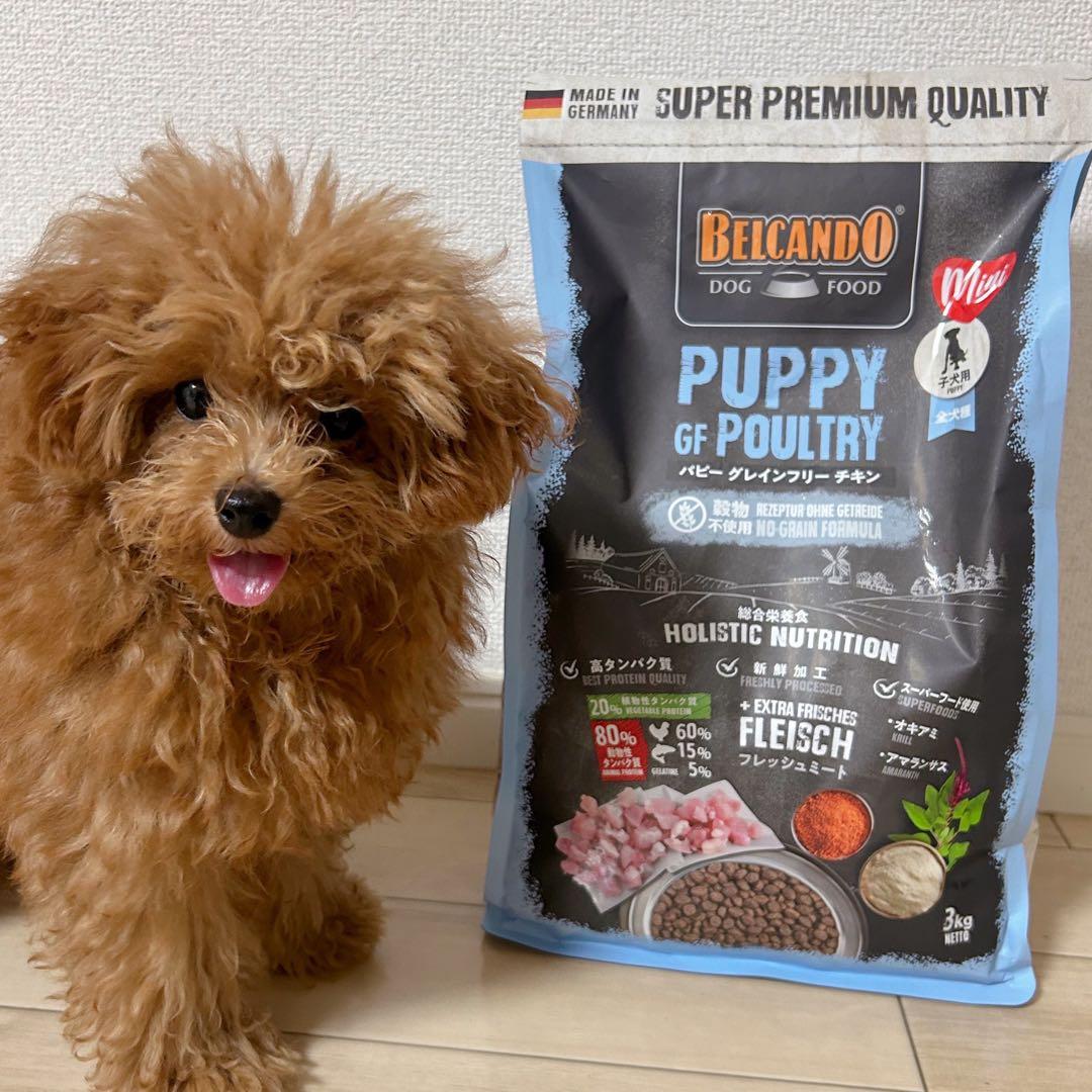 Belcando PUPPY GF POULTRY ドッグフード
