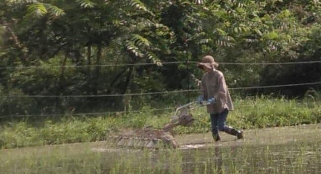 PJ出品　【米粉 6.3kg = 900g✕7個】