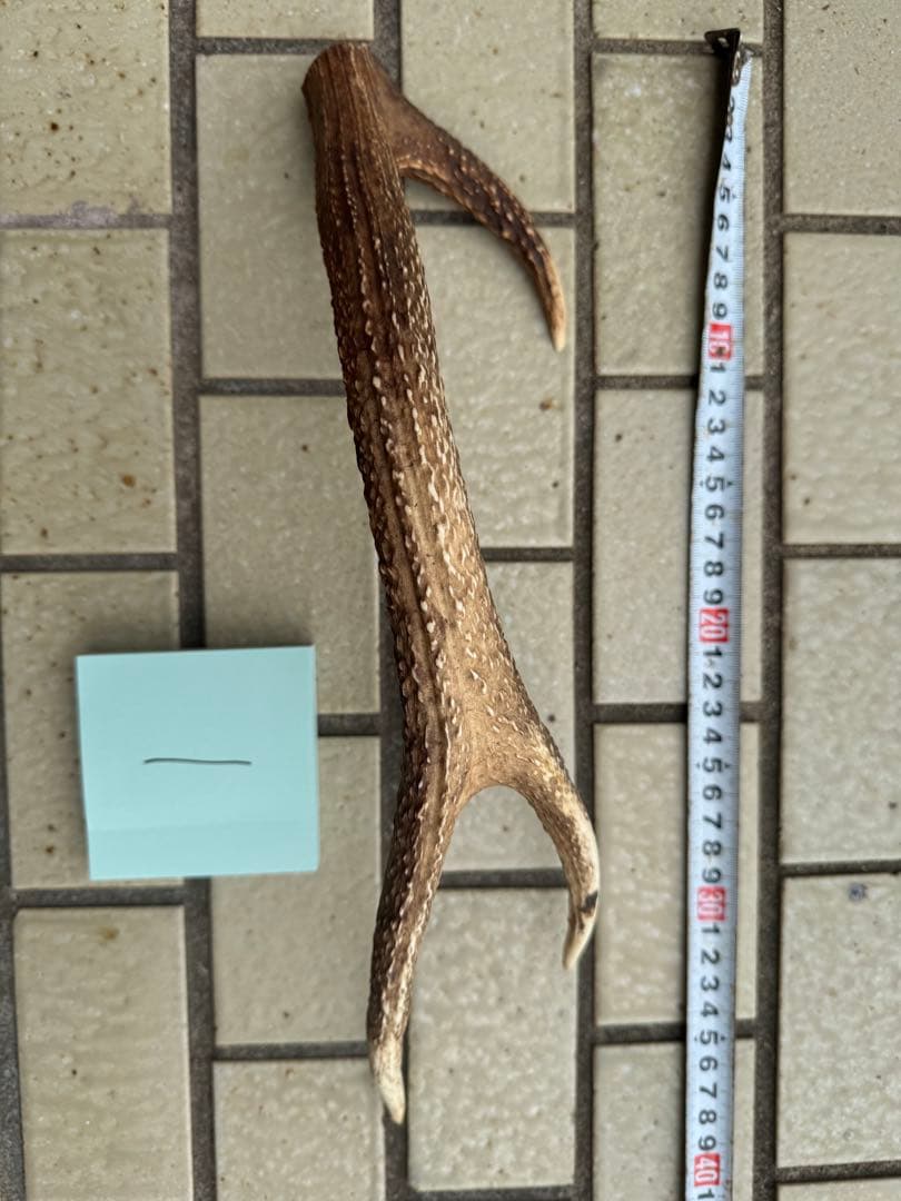 れのあ❥即購入OK❥値下NG←値下コメ❌　