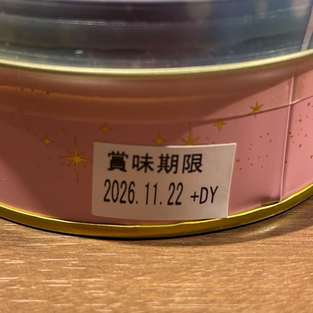 カカオキャット　CACAOCAT セーラームーン コンプリート缶