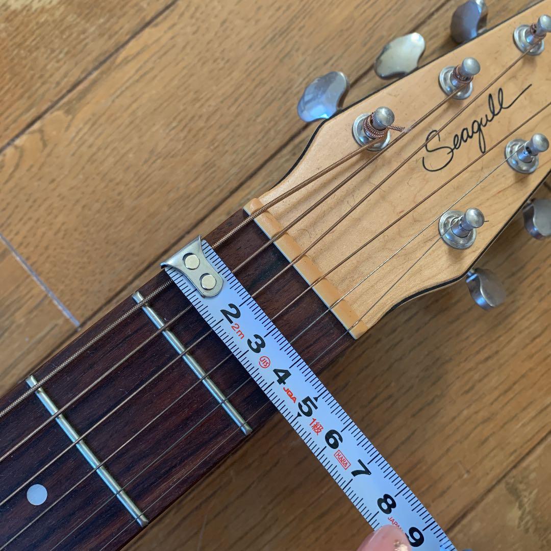 エレアコ　ギター seagull Amber Trail シーガル