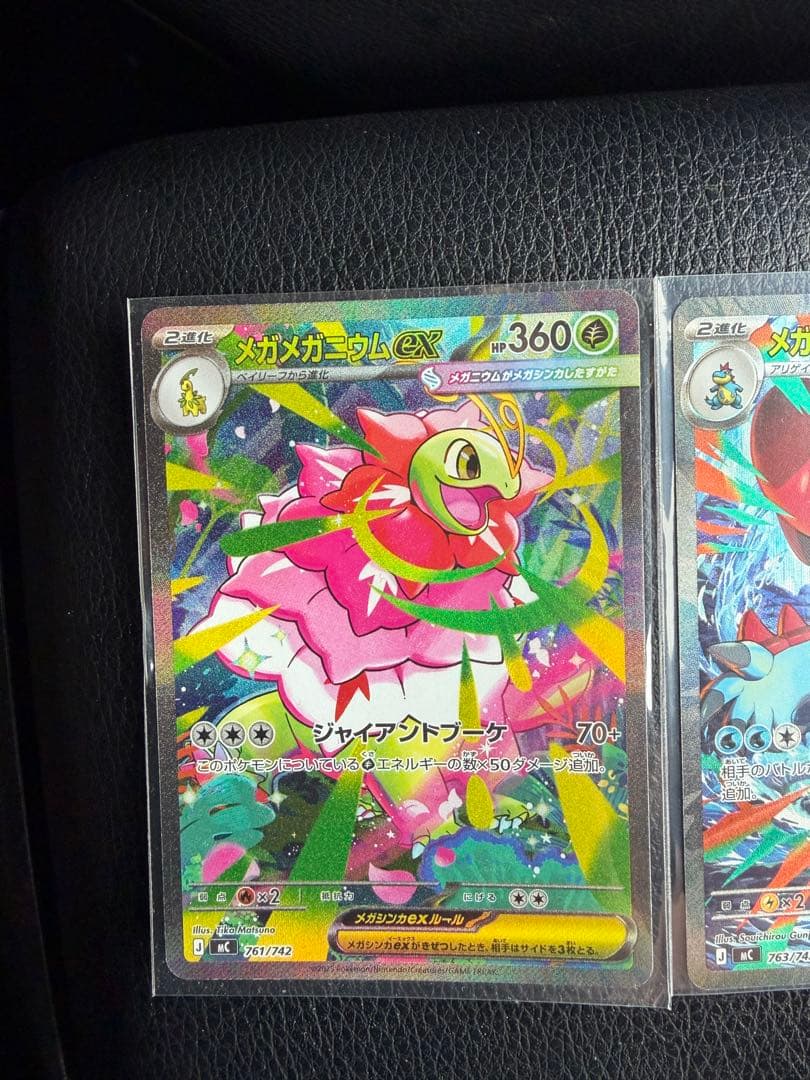 メガメガニウム　メガオーダイル　メガエンブオー