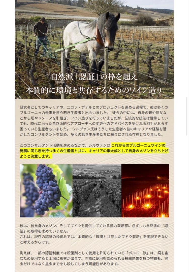 クレマン ド ブルゴーニュ シルヴァン デュボー スパークリングワイン