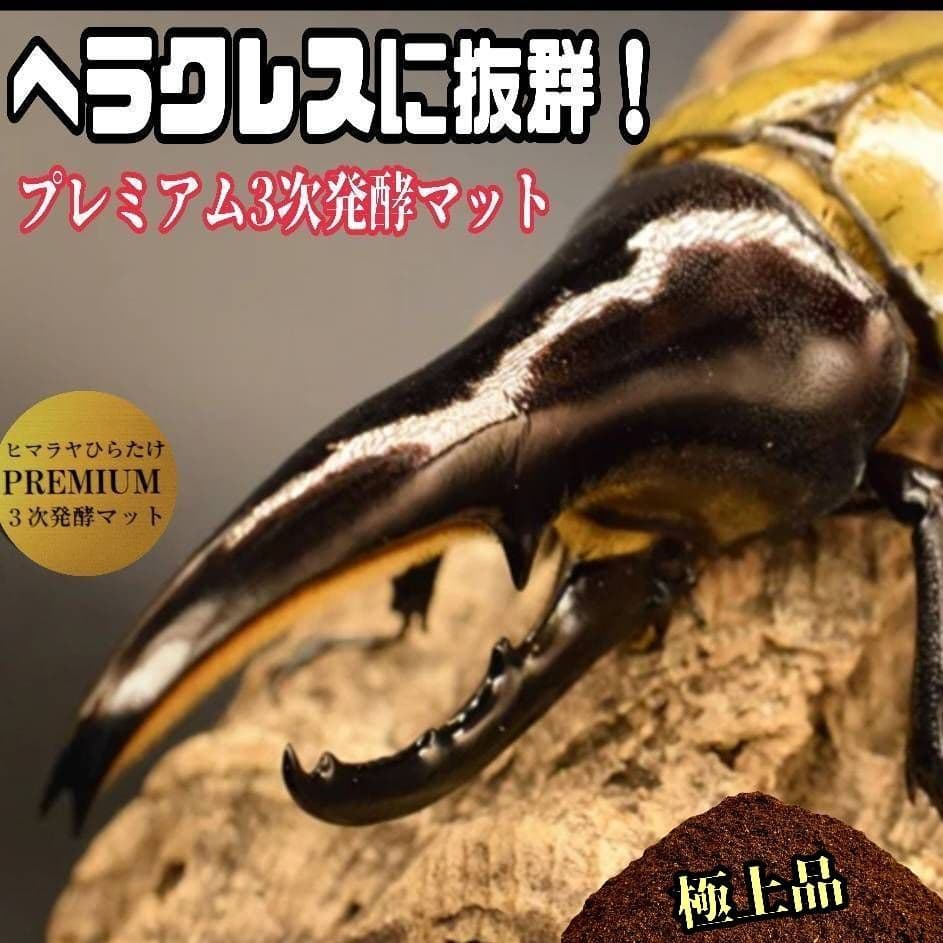 ヘラクレスが巨大化！プレミアム3次発酵カブトムシマット　60リットル　産卵にも！