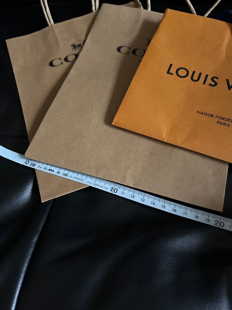 LOUIS VUITTON & COACH (２枚) ショッパー