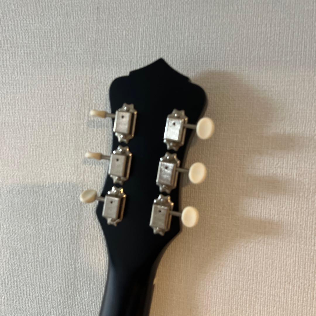 Recording King アコースティックギター　パーラーギター