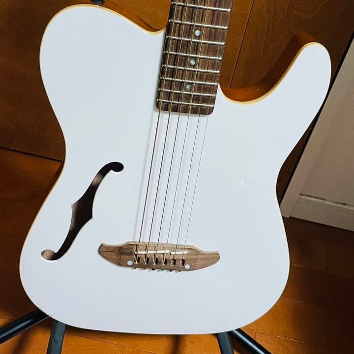 シェクター、Schecter　オリエンタルラインOL-FL/WHT　エレアコ