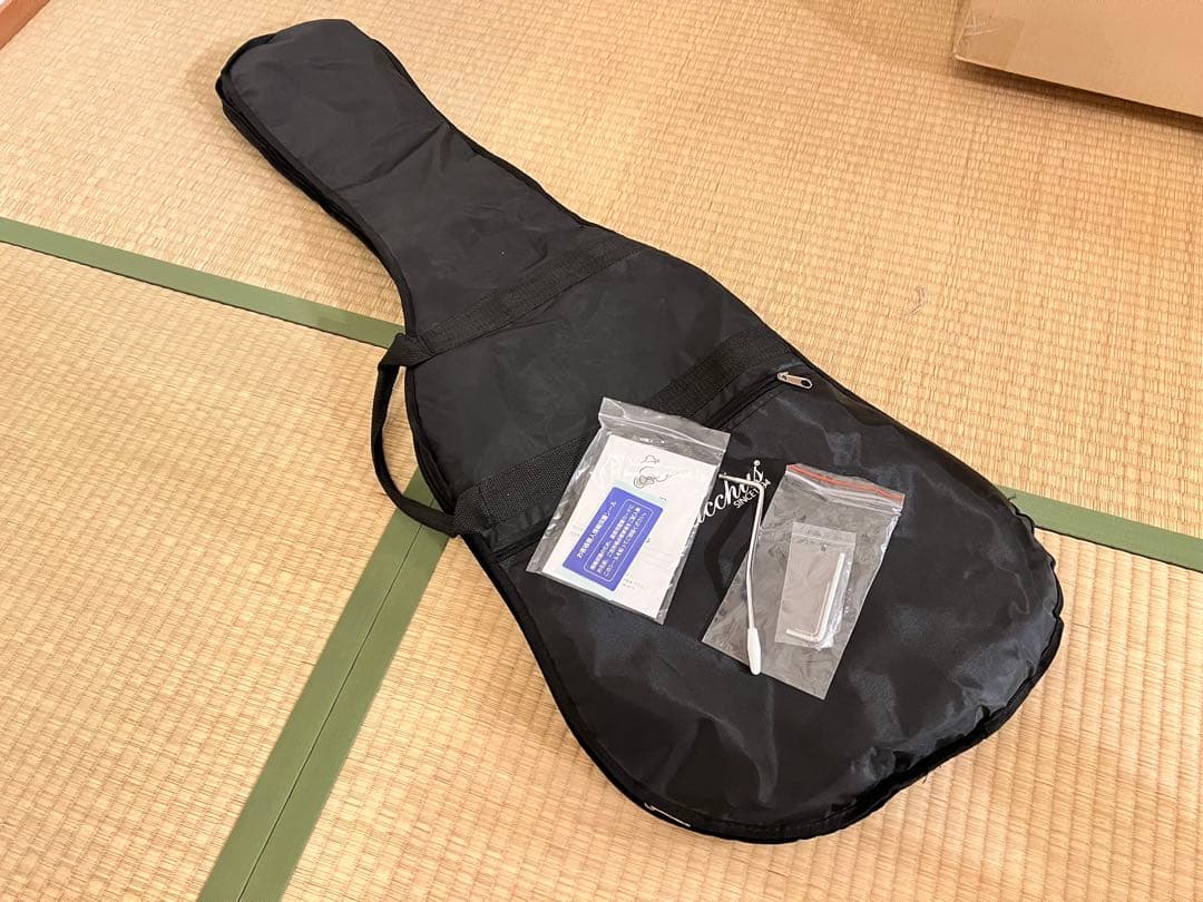 Bacchus BJM-1R DLPB ジャズマスタータイプ