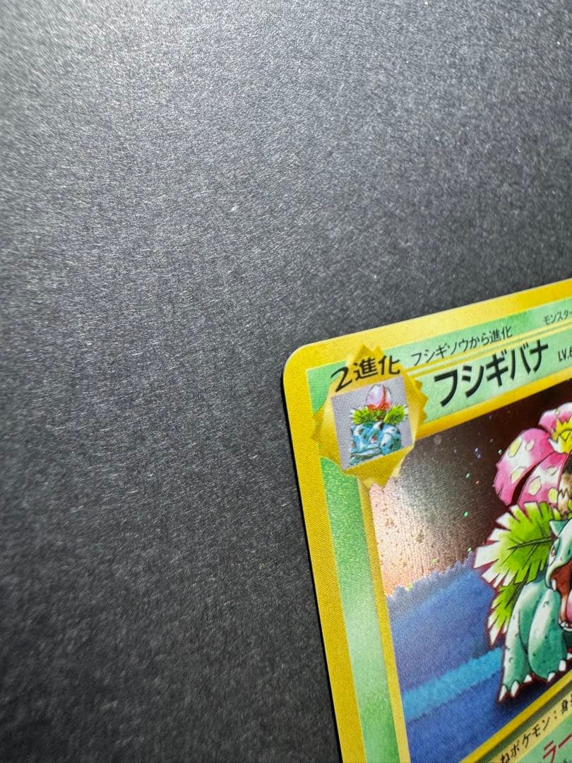 【ポケモンカード旧裏】GB フシギバナ カイリュー 2枚セット