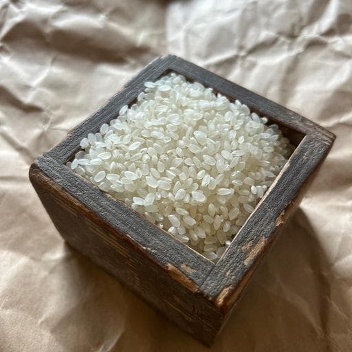 熊本県産 ヒノヒカリ 10kg 生産者直送