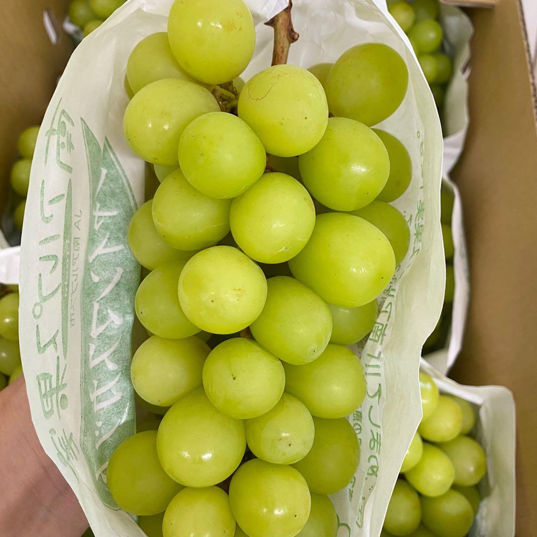 山梨県産　訳あり　家庭用　シャインマスカット　10房　箱込み5.7kg ④