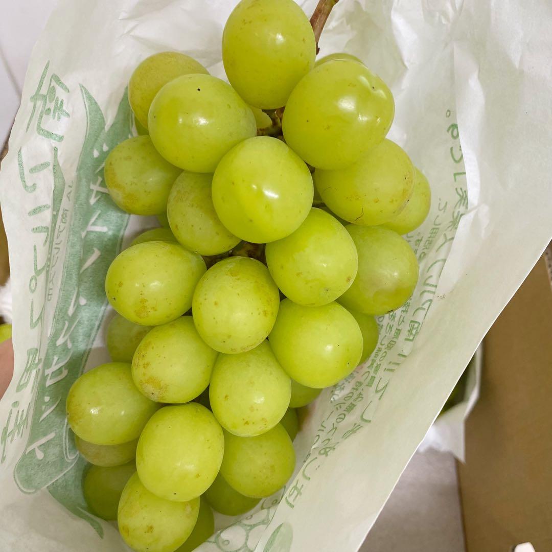 山梨県産　訳あり　家庭用　シャインマスカット　10房　箱込み5.7kg ④