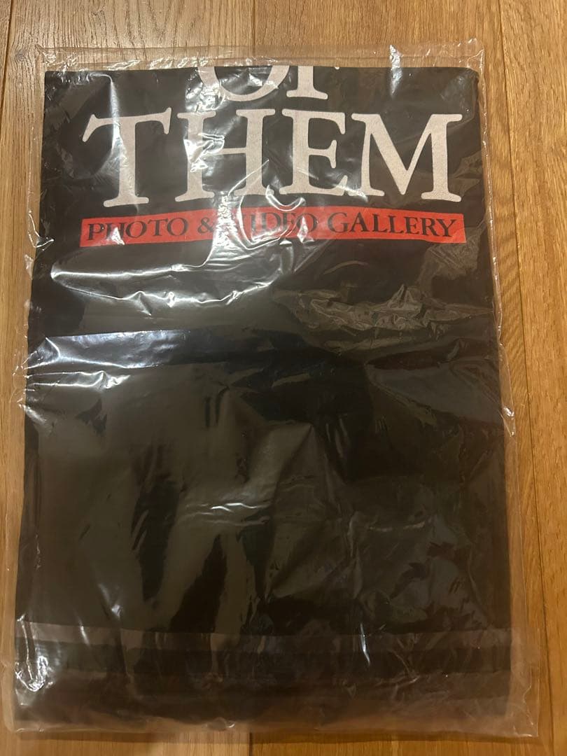 未使用 90年代 徳永英明 Tシャツ USA製　フルーツオブザルーム