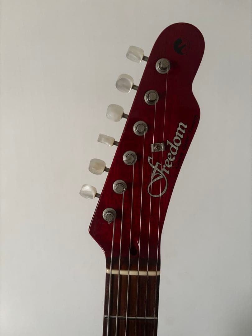 フリーダムカスタムギターリサーチ Green Pepper