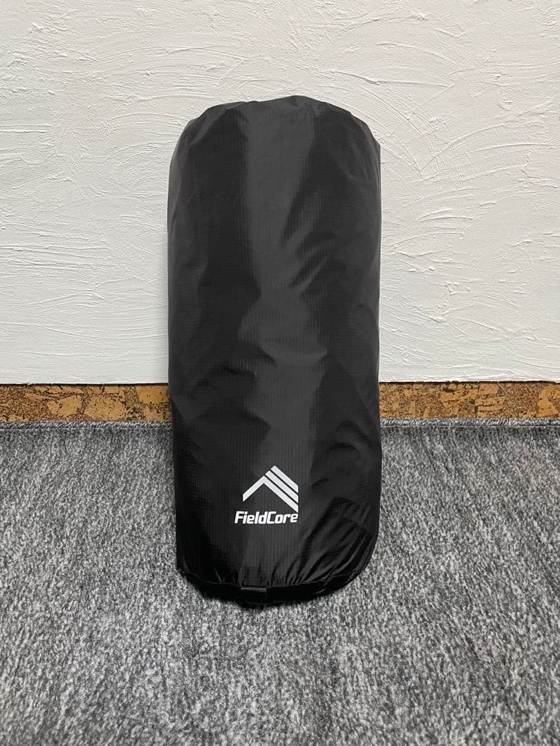 試し張りのみ　ワークマン　ミシックツーリングテントAG