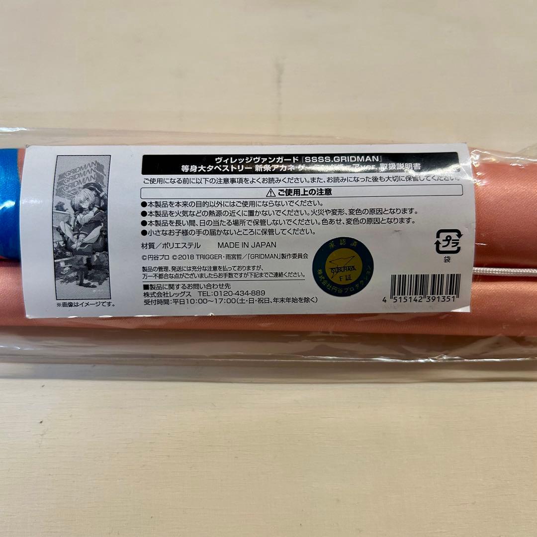 SSSS.GRIDMAN ヴィレッジヴァンガード　新条アカネ　タペストリー