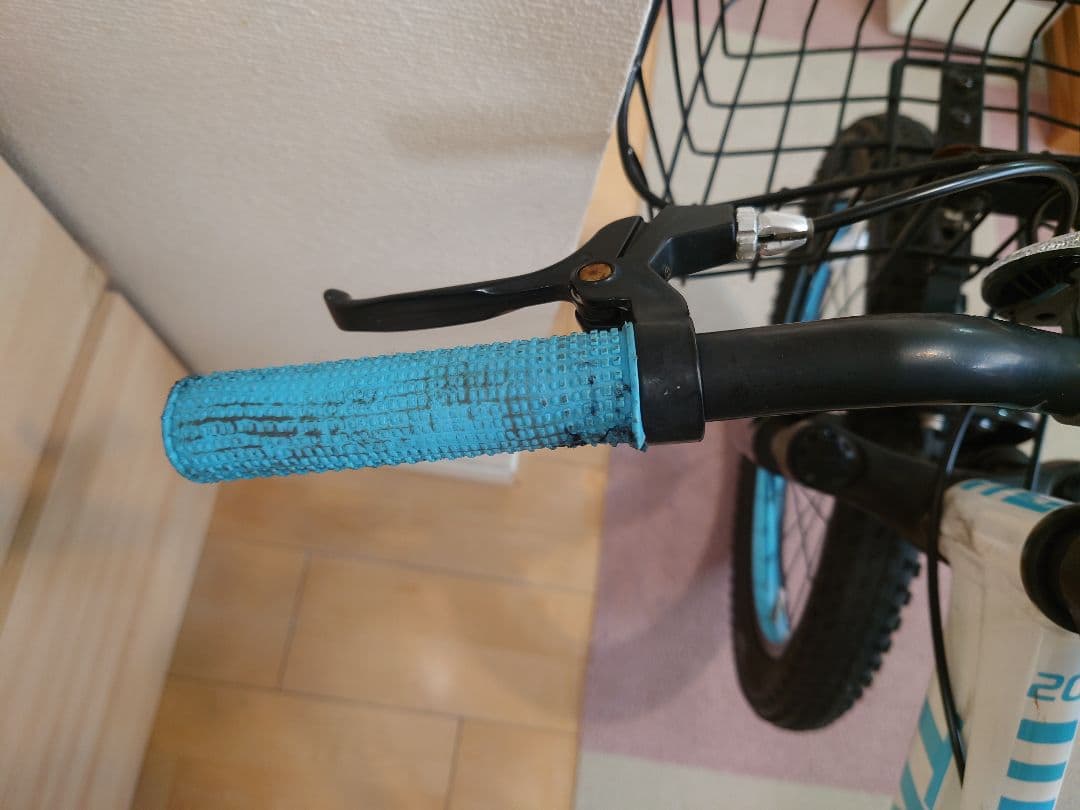 TREKPrecaliber 20インチ(子供用自転車) 身長114-132cm