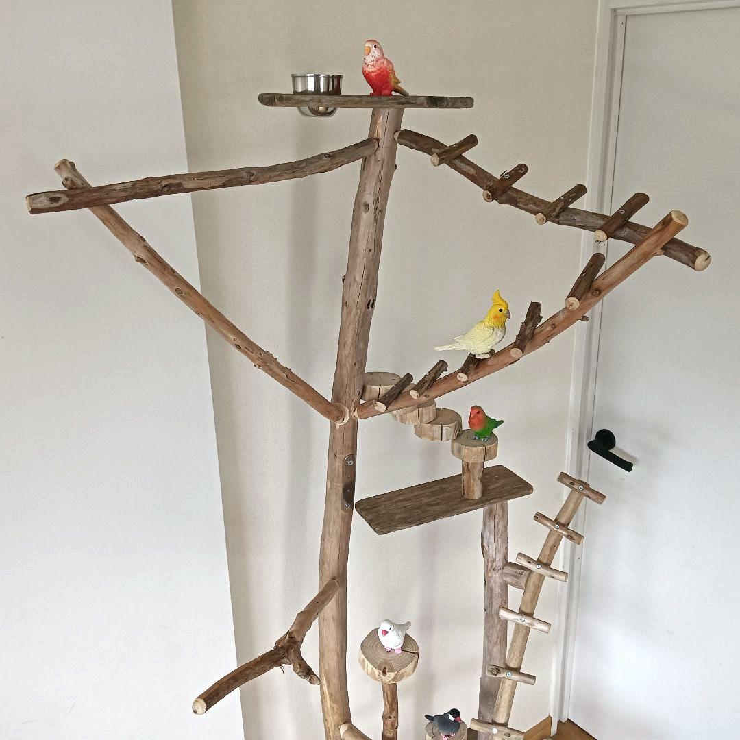 バードアスレチックジム大型 ⑫ 天然木 自然木 流木 インコ おもちゃ