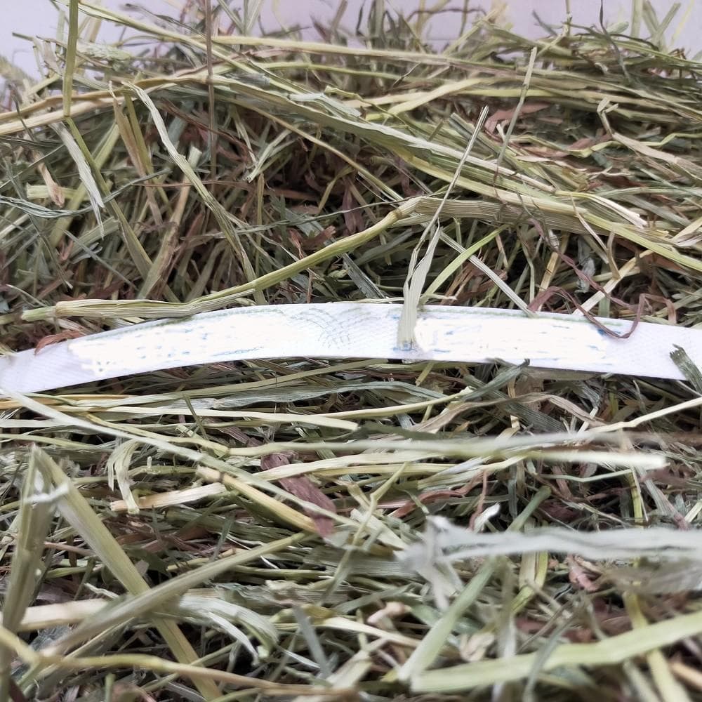 【12/30まで】US産 チモシー 60kg ２番刈 ソフトSプレミアム