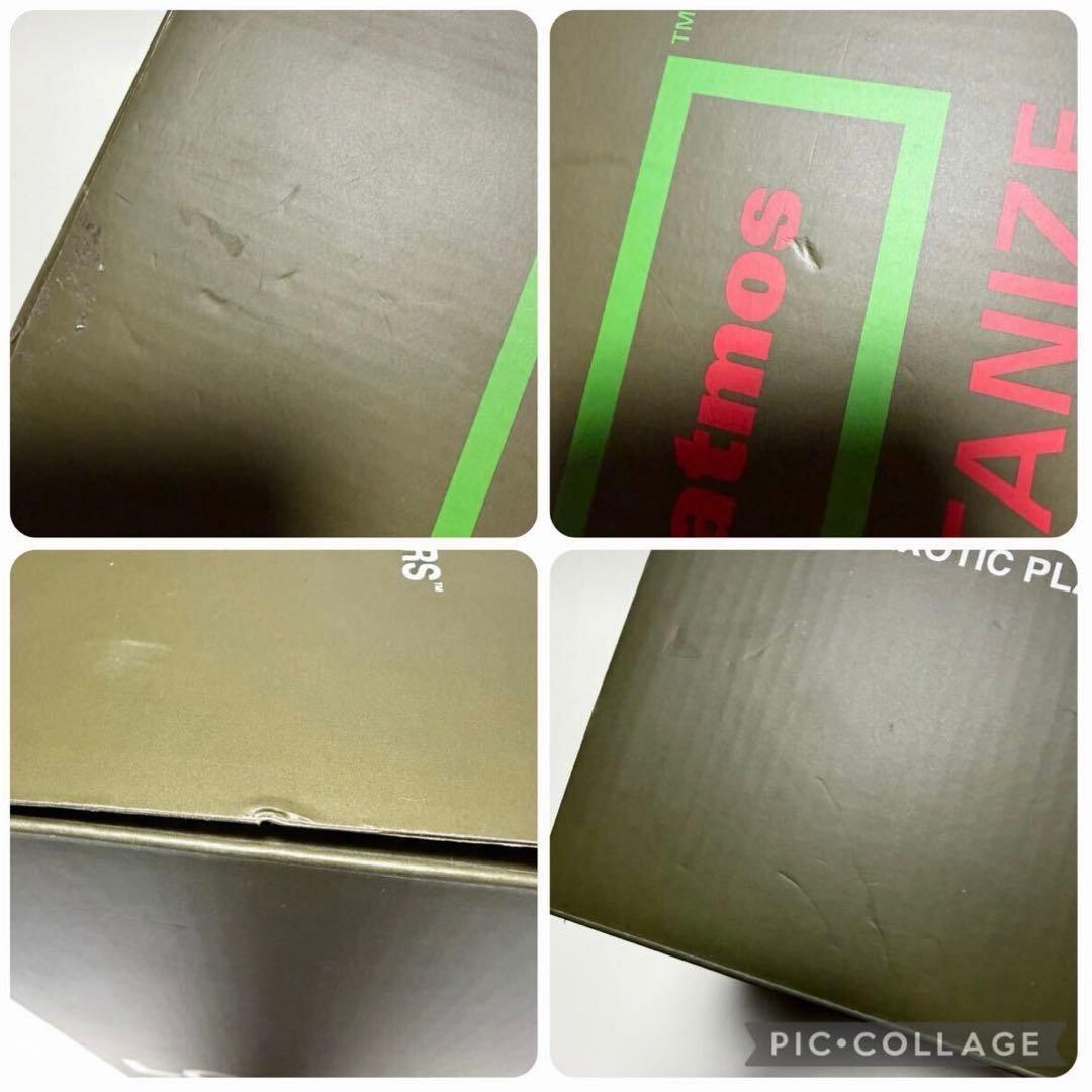 メディコムトイ パキポディウム グラキリス アトモス アニマル フィギュア