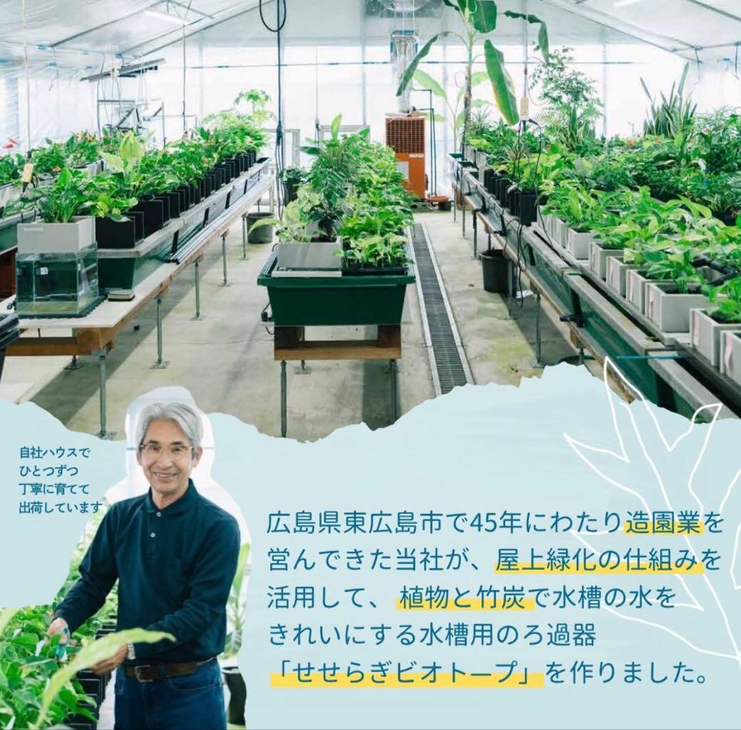 水槽　せせらぎビオトープ　20cm