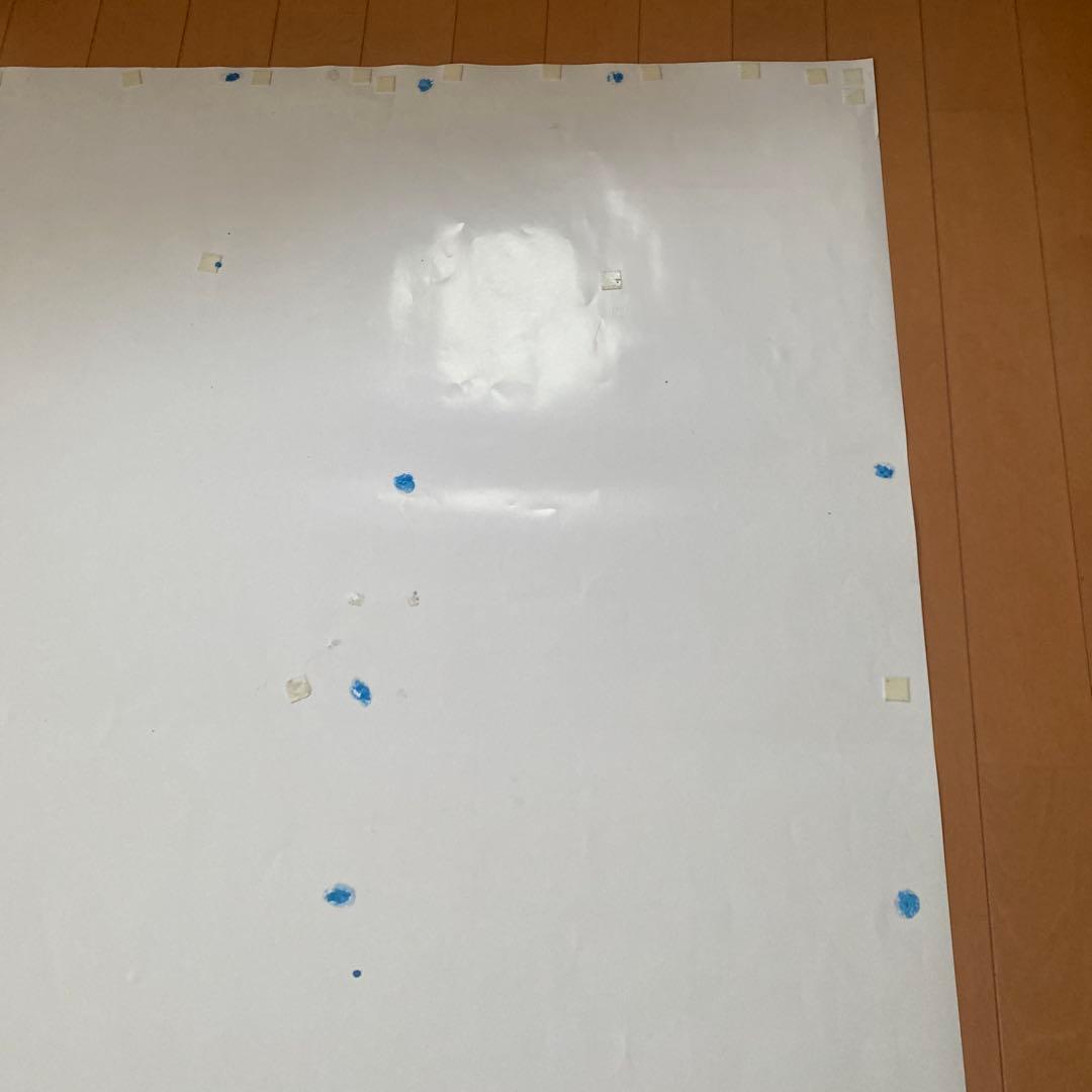 JRA第63回有馬記念中山競馬場キタサンブラックBIGポスターオマケファイル2枚