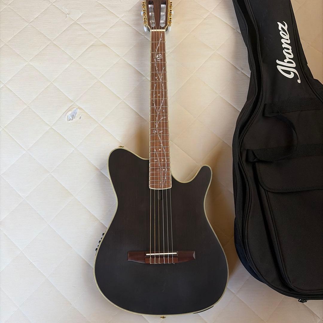 ギター ibanez TOD10N