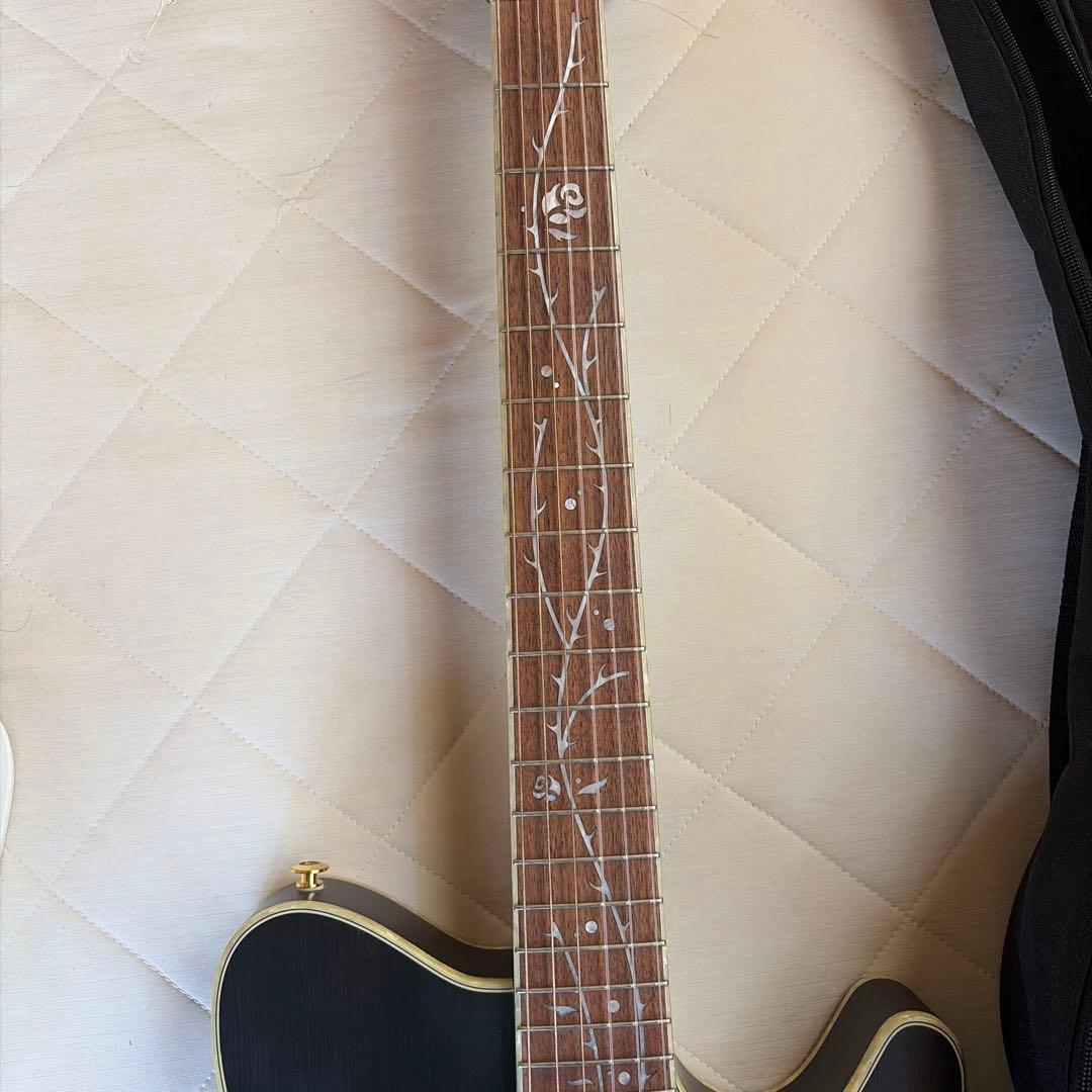 ギター ibanez TOD10N