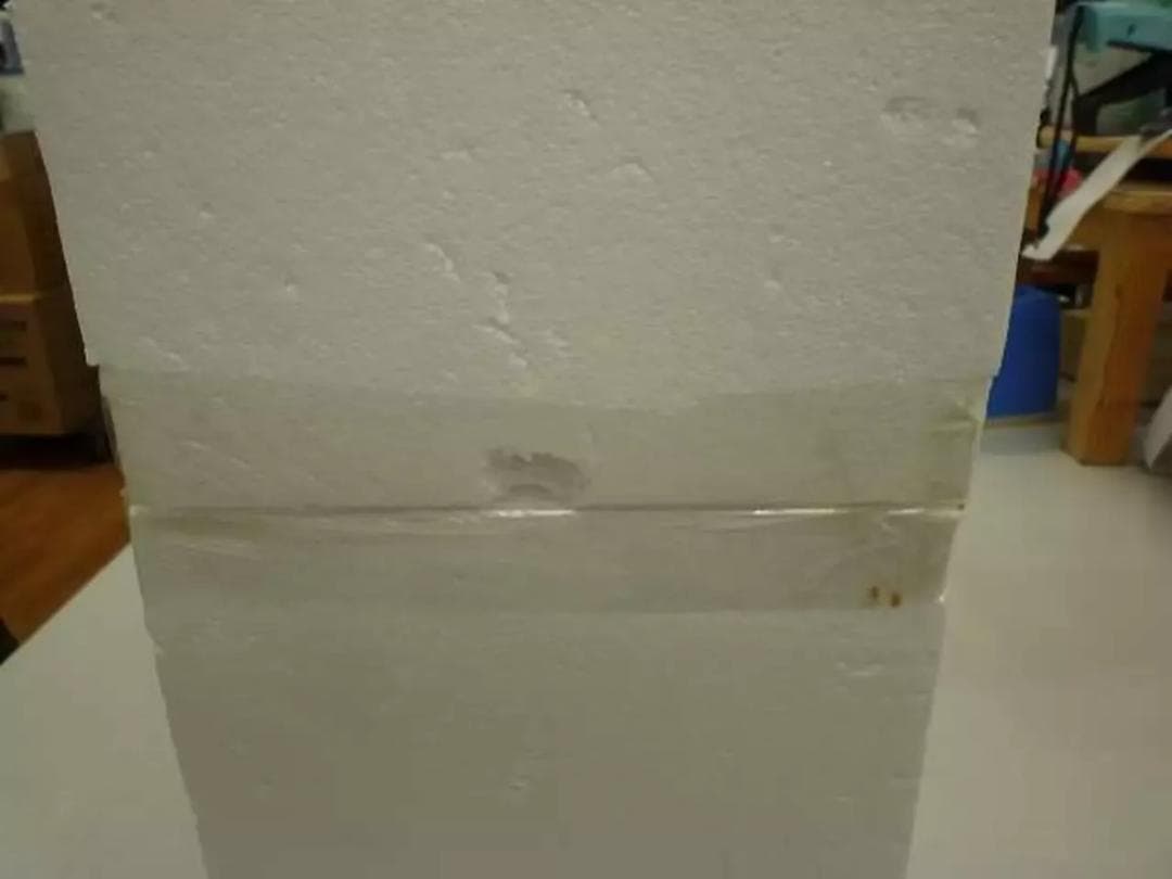 ATTAKUS エイリアン ALIAN EGGS & 1 FACE HUGGER