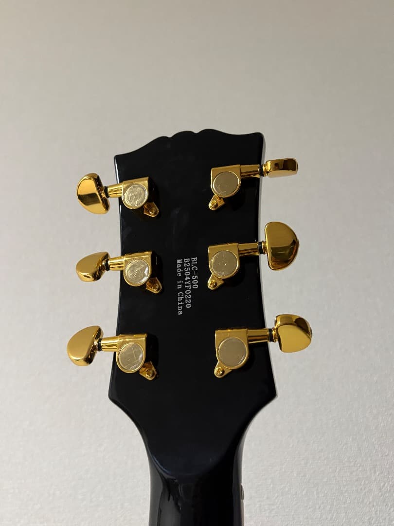 BUSKER'S BLC-500 エレキギター SKBセミハードケース付き