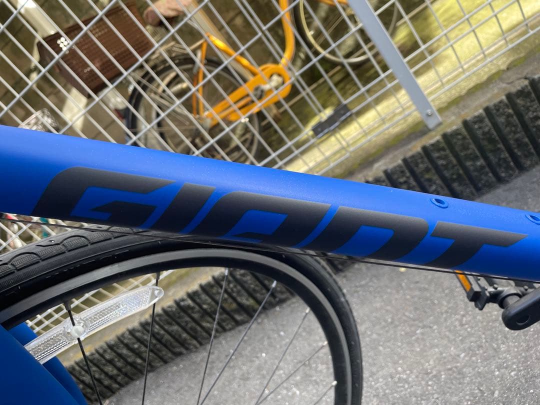 GIANT ESCAPE R3 2025年購入