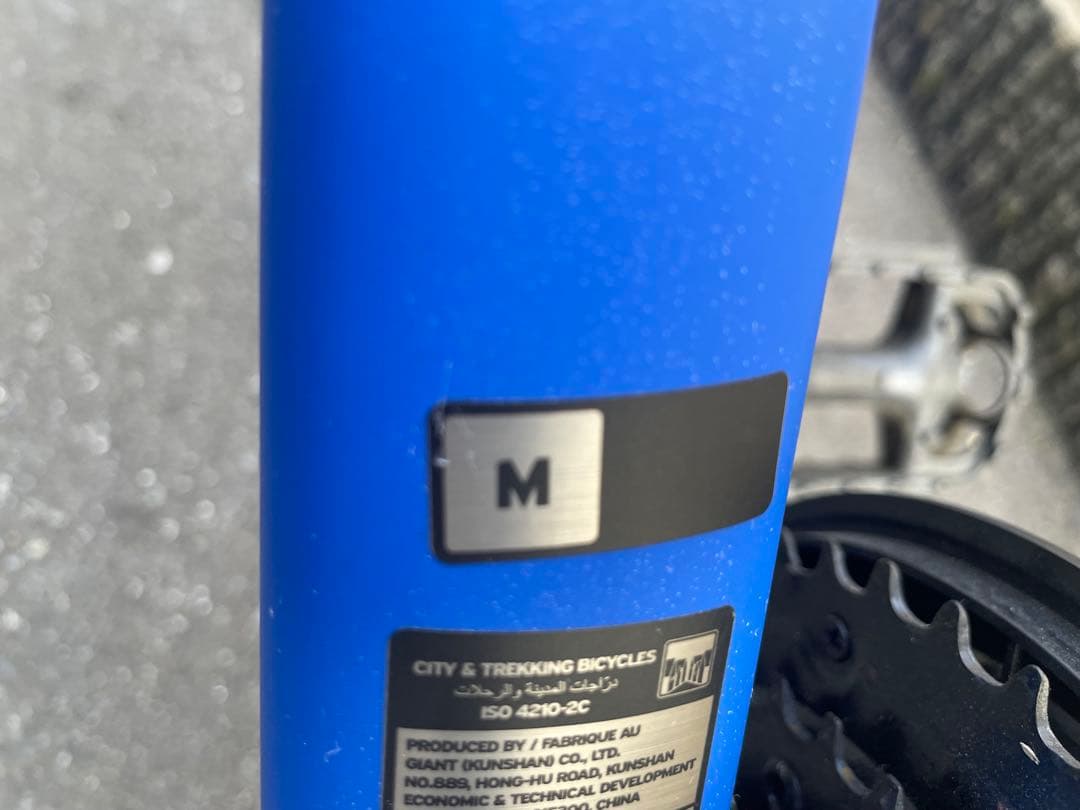 GIANT ESCAPE R3 2025年購入