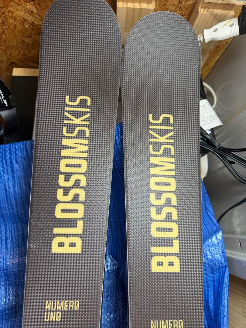 BLOSSOM ブロッサム 23-24 Elegante