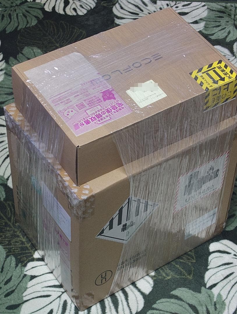 EcoFlow  Max 576Wh バッグ付