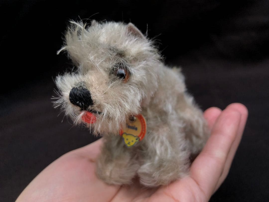 Steiff 　シュナウザーのTessi
