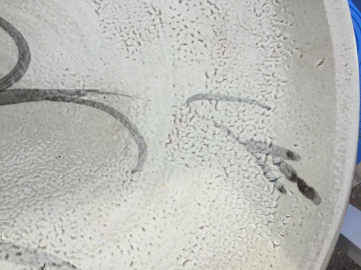 唐津焼 大皿。龍福寺窯